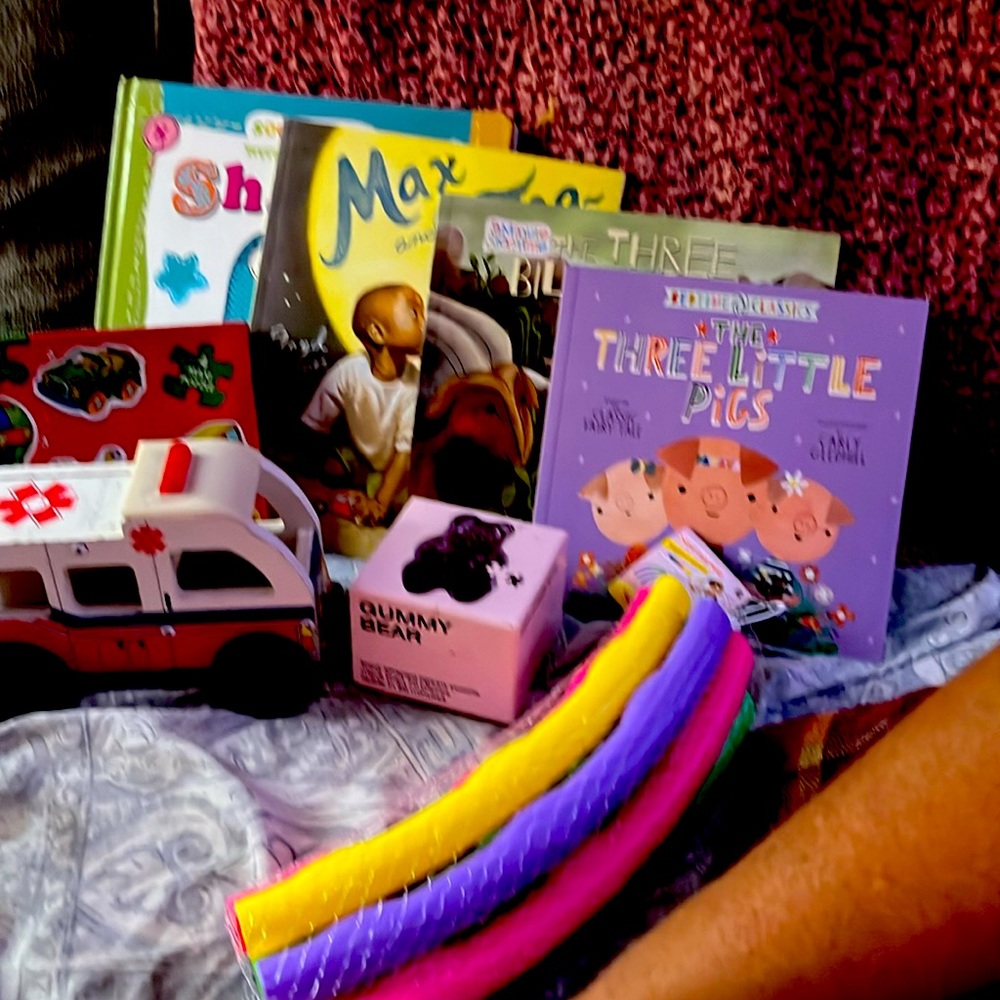 Amazon Bundle Deal Four Books 2 puzzles one wooden truck and Holla Hop “New”
